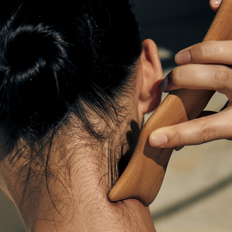 AROMATICA Dolphin Face & Body Massager