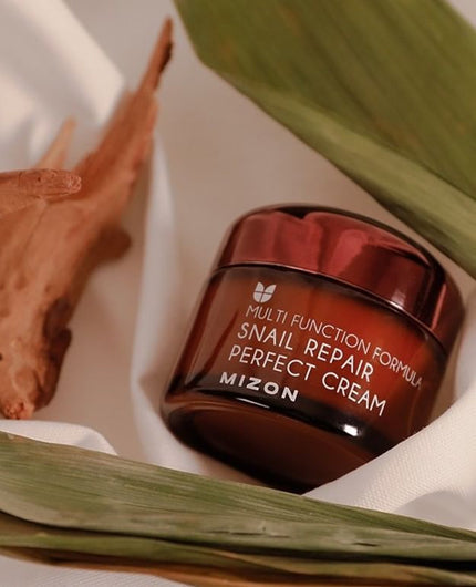 MIZON Snail Repair Perfect Cream | MY BEAUTY IDOL