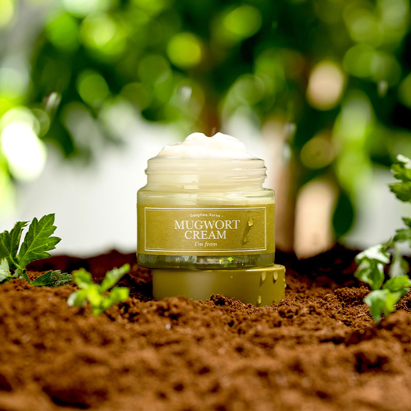 IM FROM Mugwort Cream | MY BEAUTY IDOL